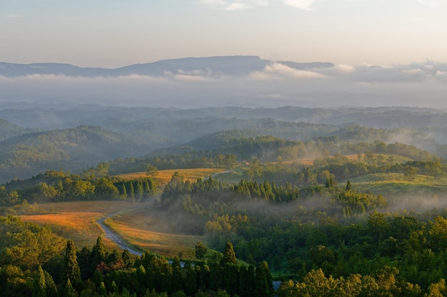 Living in Rural vs. Urban Tennessee: Which Is Better for You?